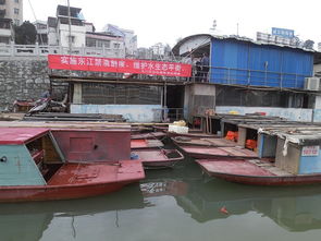 龍川縣畜牧獸醫(yī)漁業(yè)局 推動(dòng)畜牧漁業(yè)飼料銷售，助力現(xiàn)代農(nóng)牧業(yè)發(fā)展