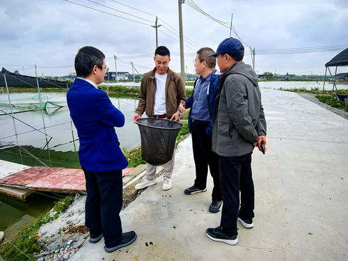 芯質發展助力水產種業振興 畜牧獸醫局與農業農村局協同推進畜牧漁業飼料銷售新篇章