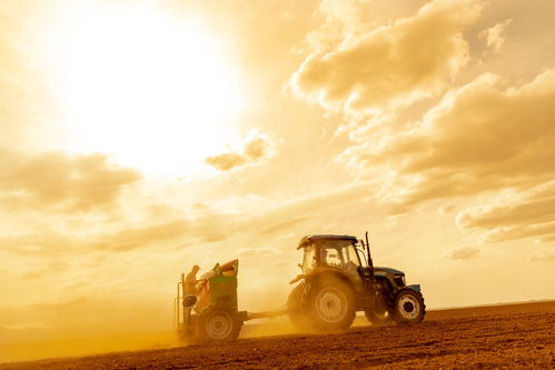 光影映照豐收景 集團(tuán)八幅作品在農(nóng)墾漁業(yè)畜牧系統(tǒng)職工攝影賽中斬獲殊榮