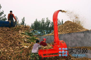 投資6億辦教育，打造畜牧業(yè)名片——記者走訪泌陽探尋鄉(xiāng)村振興新路徑