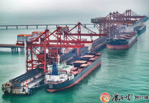 廣西鋼鐵集團(tuán) 以高品質(zhì)產(chǎn)品通過多項(xiàng)國(guó)際認(rèn)證，助力畜牧漁業(yè)飼料銷售